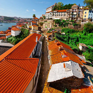 查看葡萄牙波尔图市历史中心花高清图片素材
