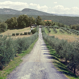意大利农庄图片