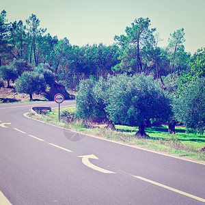 葡萄牙林地灰坡路山之间覆盖着橄榄树的山丘Instagram效应背景