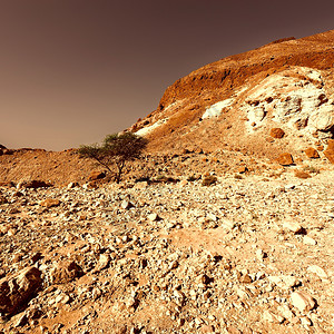 约旦河西岸Judean沙漠的峡谷图片