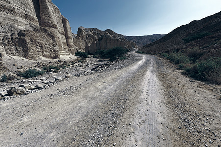 西岸犹太沙漠泥土路背景图片