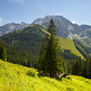 德国巴伐利亚阿尔卑斯图片