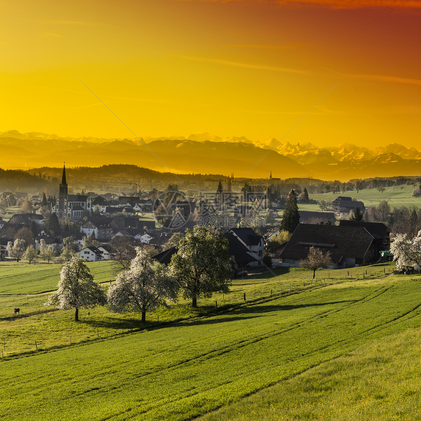 日落时在瑞士阿尔卑斯山的雪峰背景上涂抹在山脚边的瑞士小城镇被草原包围图片