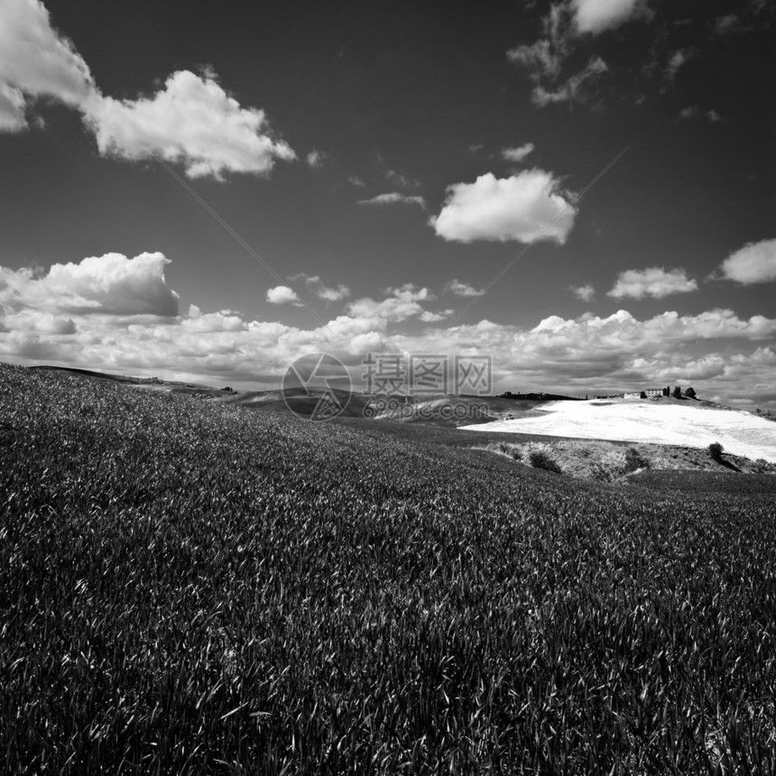 托斯卡纳的绿色斜坡草地retro图像过滤样式图片