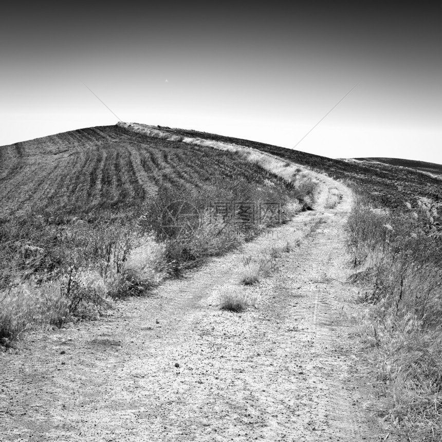 西里雷特罗图像过滤样式的春田之间泥土路图片