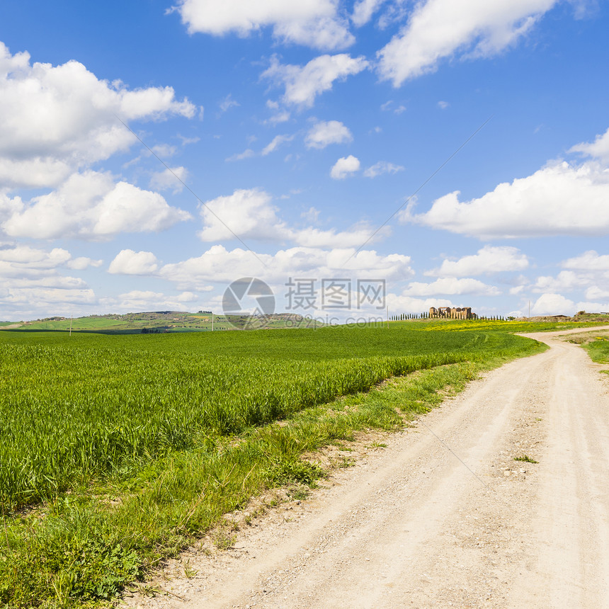 春初在草原之间有泥土路的意大利风景的农业田野和牧场图片