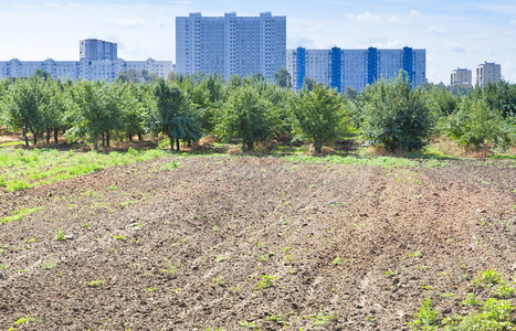 夏季日城市花园图片