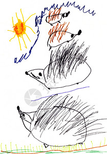 绘画儿童阳光下绿草的刺猪家庭图片