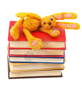 感觉柔软的玩具兔子躺在堆叠的书上孤立在白色背景的书本上图片
