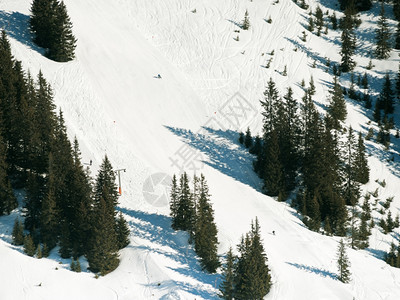 奥地利萨尔巴赫腹地勒姆地区的下坡滑雪坡图片