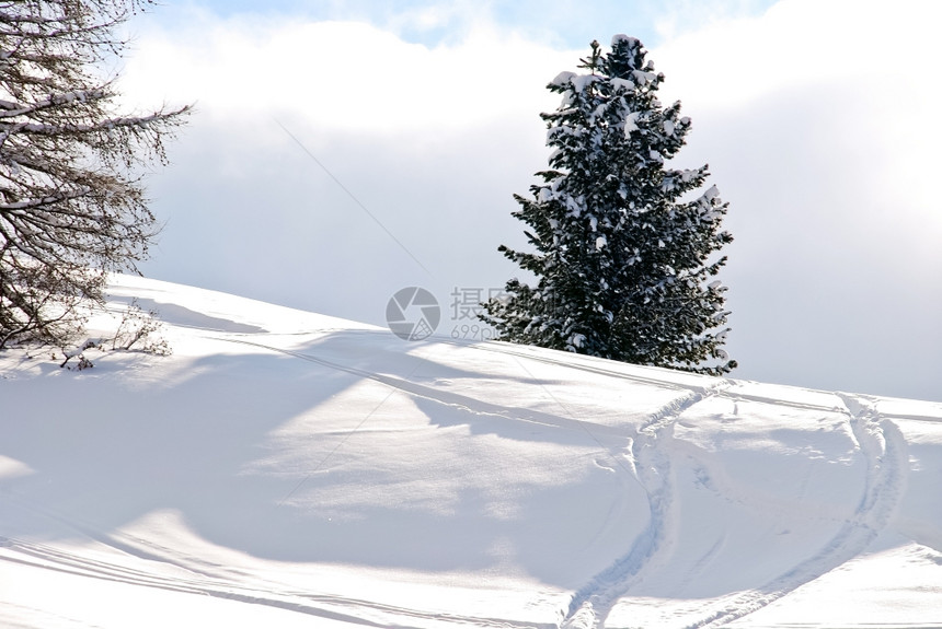 意大利多洛米人ValGardana的雪山上风树周围的雪上滑轨图片