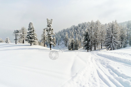 意大利塞斯特里尔Lattea银河滑雪场白雪覆盖的滑雪道图片