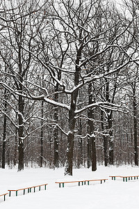 冬季城市公园的雪下长椅和树木图片