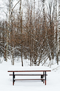冬季城市公园娱乐场的雪花桌图片