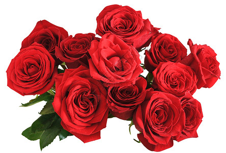 上面的红玫瑰花束白色背景的红玫瑰图片