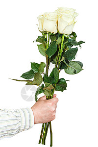 雄手用五朵白玫瑰的花束隔在白色背景上图片