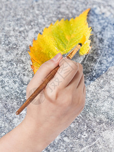 自然概念秋天与油漆刷手在冰冻的行人道上黄色叶落高清图片