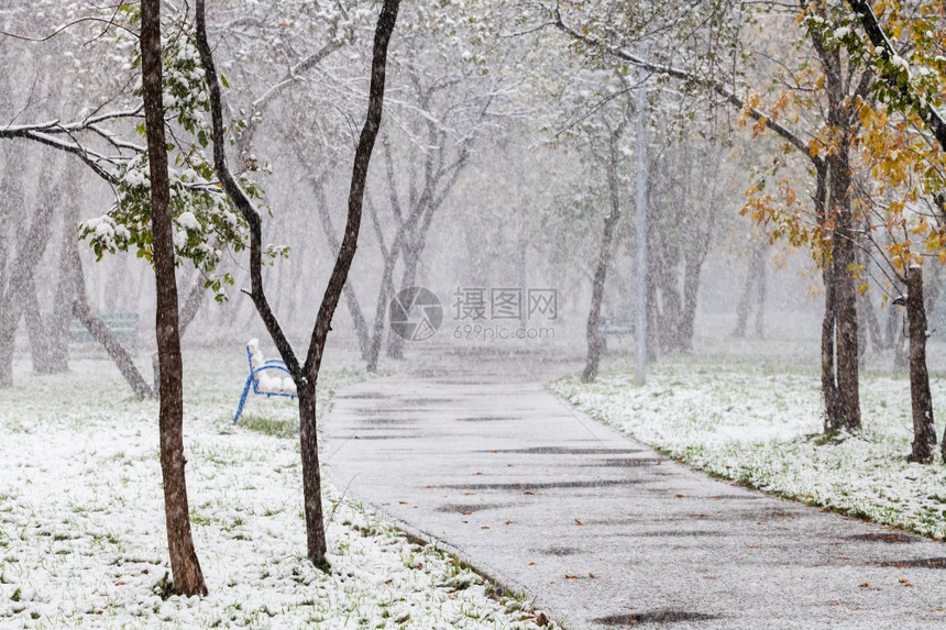 秋天城市公园第一次降雪图片