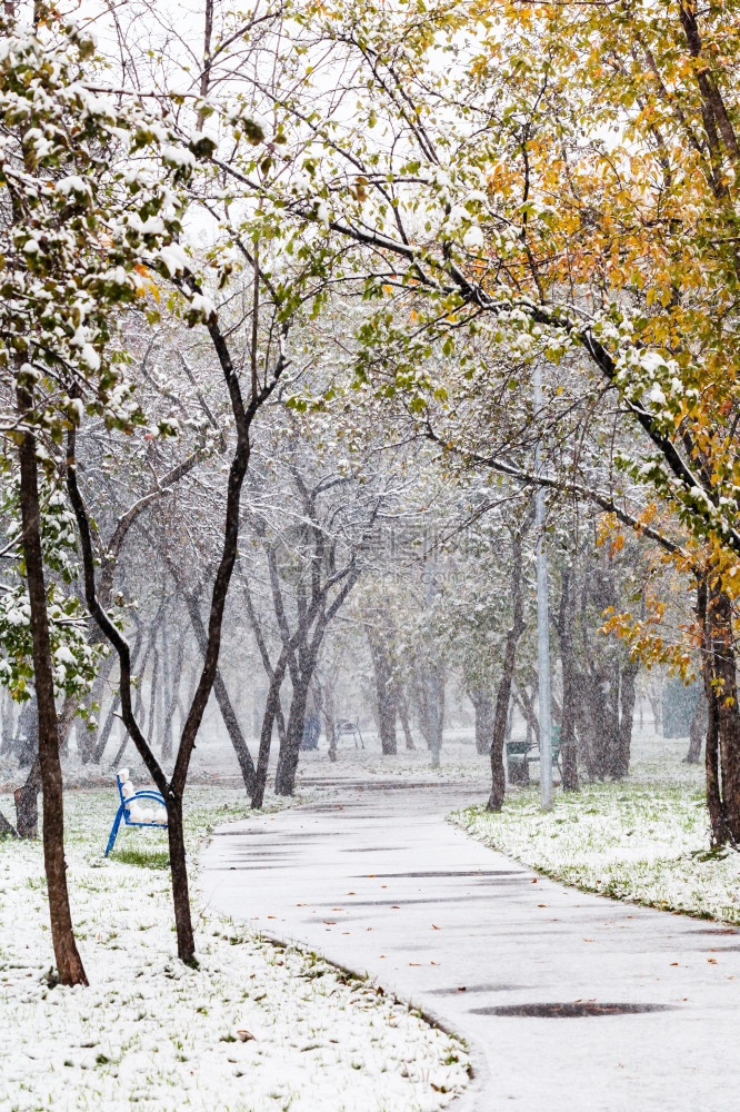 秋天城市公园第一次降雪图片