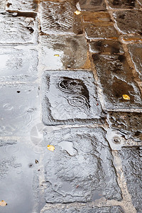 去意大利旅游秋天佛罗伦萨市的城市人行道上有雨水坑和黄色落叶图片