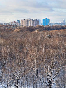 在寒冷的冬季日照阳光亮的森林中城市建筑和树顶图片