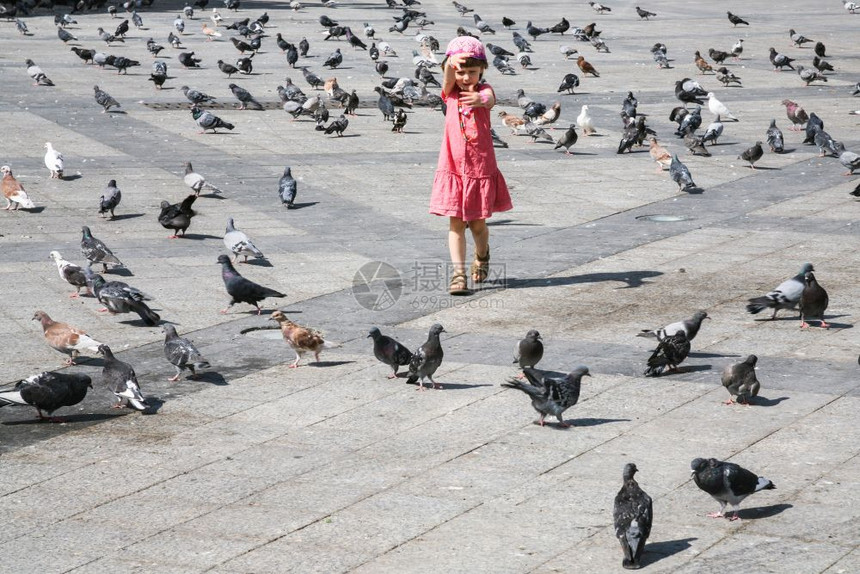 前往希腊在雅典市城广场追鸽子的女孩图片