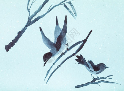 以水彩漆为特色用水彩涂料蓝纸上的树枝绘制鸟类草图图片