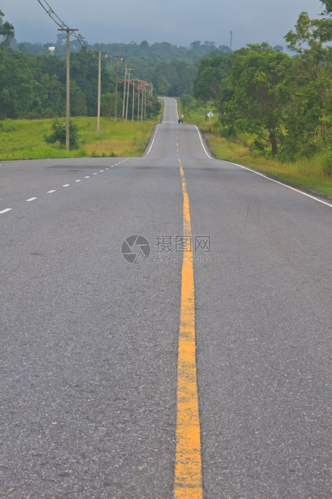 绿色森林公园的道路图片