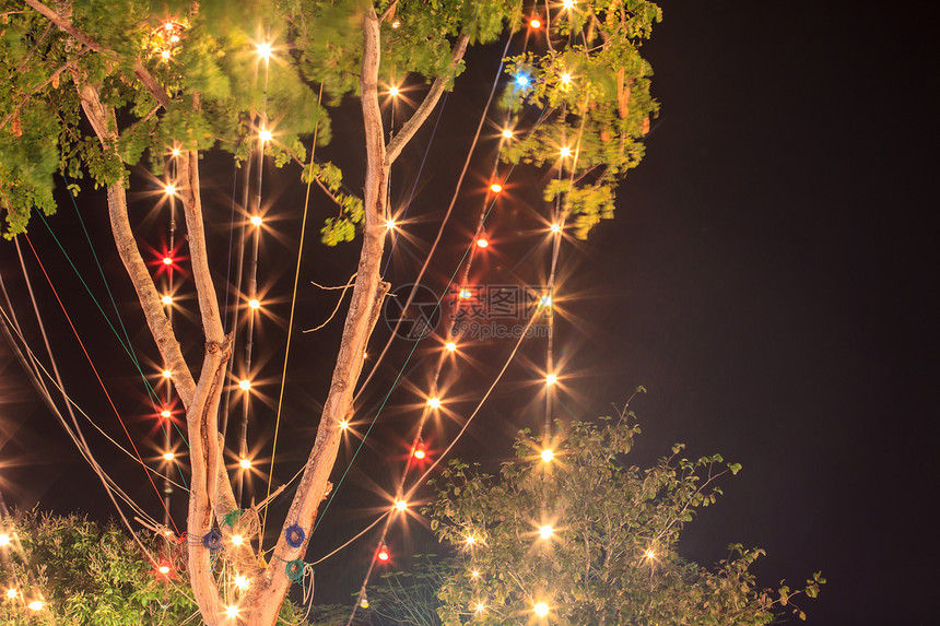树上布料夜间木装饰品圣诞新年图片