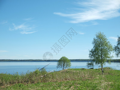 湖边的树木俄罗斯卡丽亚图片