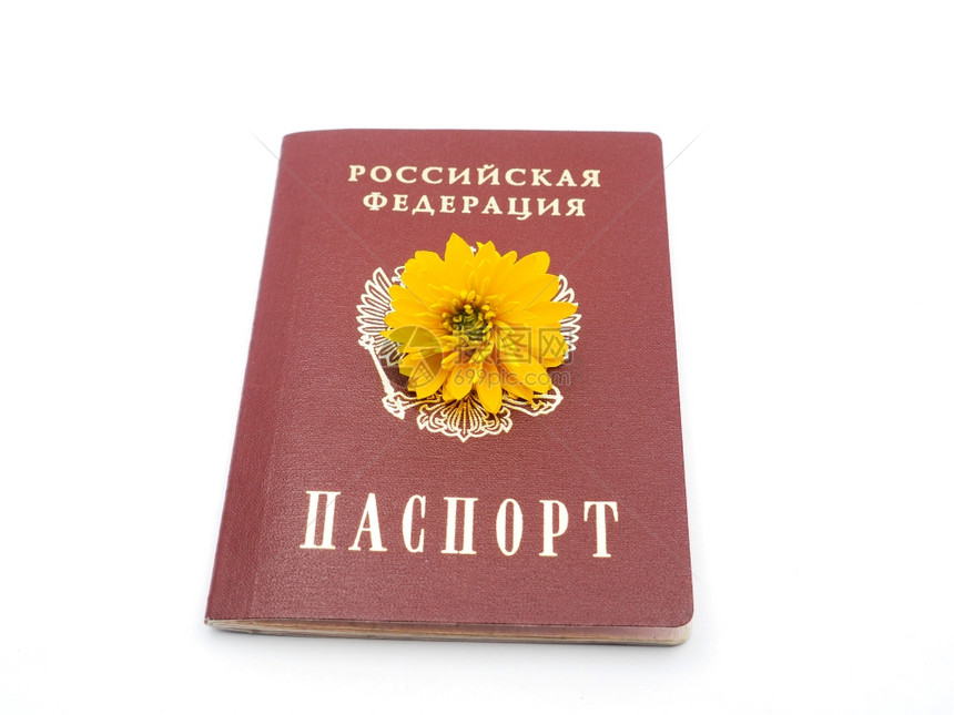 俄罗斯护照和白色背景的鲜花