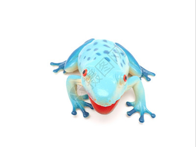 白色背景的蓝玩具青蛙背景图片