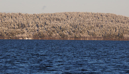 湖对岸图片
