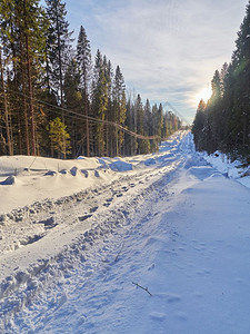 冬天森林中的道路背景图片
