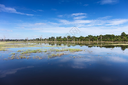 蓝天空在森林湖中反射背景图片