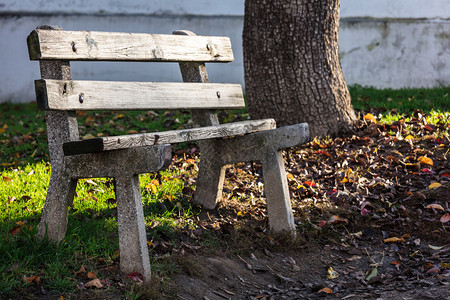 秋季公园中的空长椅图片