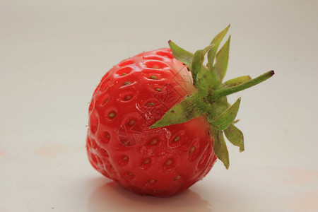 大一小片草莓密图片
