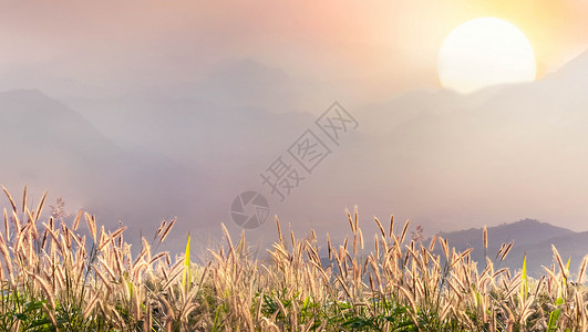 日出时春天的草地和山谷美丽的自然景观美丽的自然景观图片