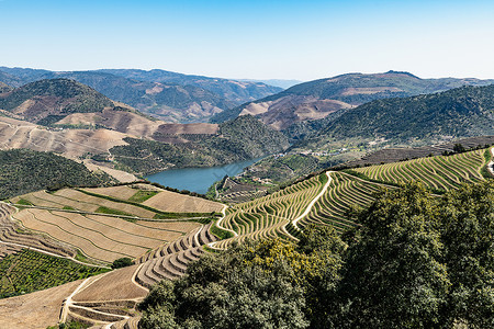 葡萄梯田Vargelas的观察点使人们可以看到杜罗及其人造斜坡的广阔景观背景