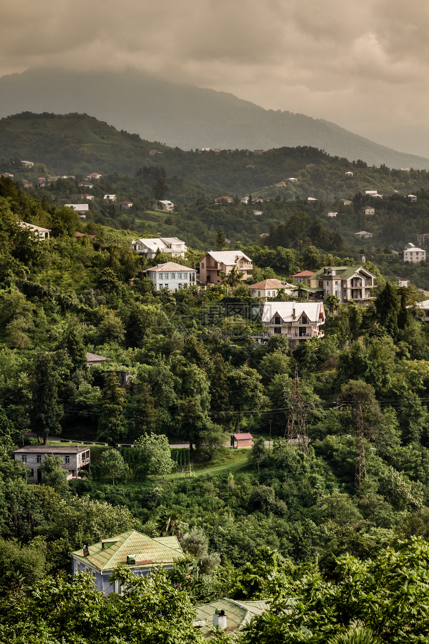 GeorgiaBatumi的极佳植物园景象图片