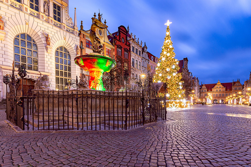长市场广和圣诞树在节的夜间照明中波兰格但斯克圣诞节长期市场图片
