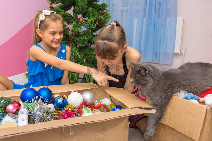家猫来看盒子里的圣诞树装饰女孩露出一只手指在猫身上图片