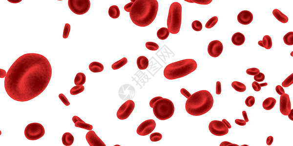 在清晰背景下分离的红细胞红细胞背景图片