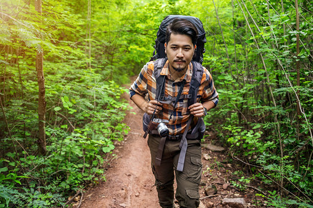 背着行走和寻找天然森林的男旅行者生活方式高清图片素材