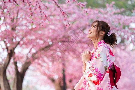 韩国和服穿着和服的女人看着花园里盛开的樱花或樱花背景