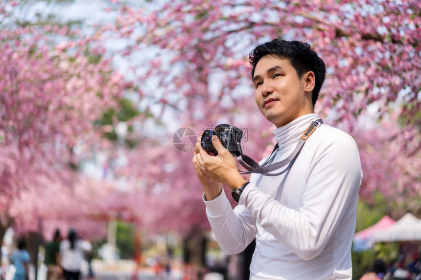 年轻男子旅行者看着樱花或开拿着相机在公园拍照图片