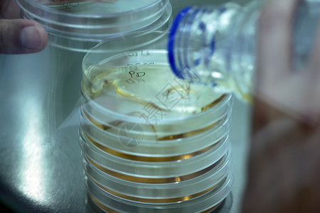 洗护手液在实验室中添加瓶装料液作为测试管设计图片