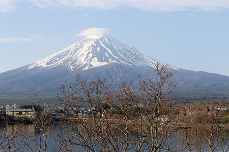 樱花没有开早上看到富士山背景图片