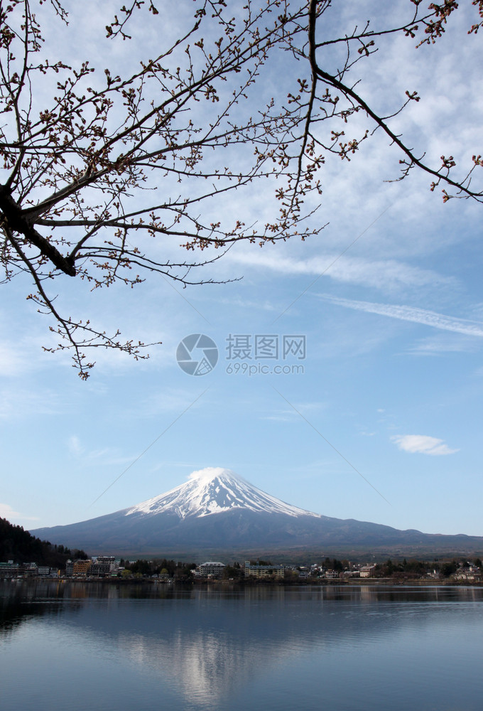 川口湖边的藤山和樱花没有开图片