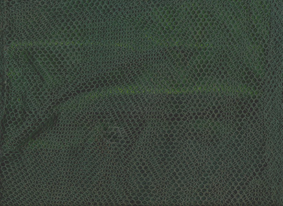 纺织品网的绿色纹理设计背景的抽象模式图片